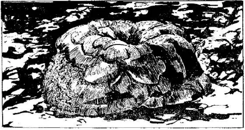 盤點各類地質(zhì)地貌類型-地?zé)豳Y源開發(fā)-地大熱能